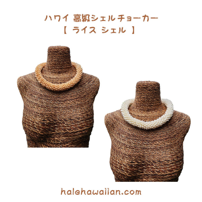 ハワイアン シェルアクセサリー 希少小粒ライスシェル 【 高級ライスシェル リング チョーカー】
