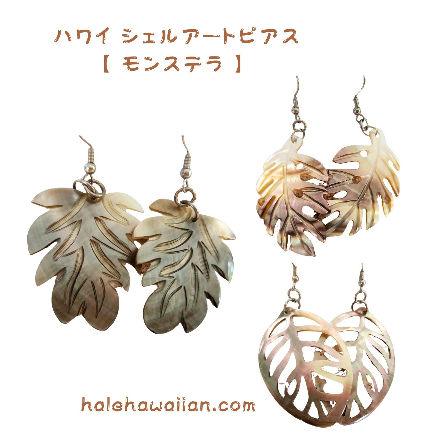 ハワイアン ジュエリー シェルアート ピアス【モンステラ】 – Halehawaiian