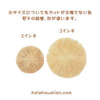 ハワイアン フラ用品 ラフィアパーツ【ラファリボン】1枚
