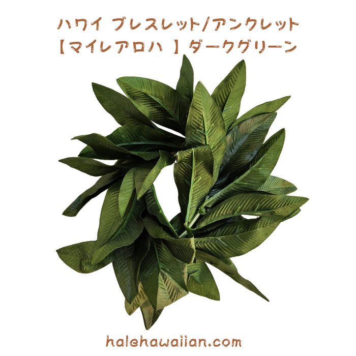 ハワイアン フラ用品 マイレブレスレット/アンクレット【ハワイアロハ】ダークグリーン