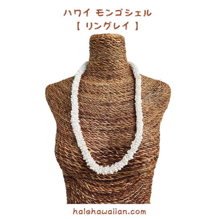 ハワイアン シェルレイ モンゴシェル【 リング レイ 】