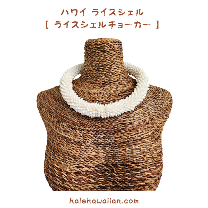 ハワイアン シェルアクセサリー ライスシェル 【 高級ライスシェル リング チョーカー】