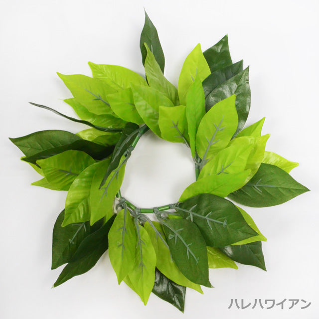 ハワイアン フラ用品 マイレブレスレット/アンクレット【マイレ8インチ】