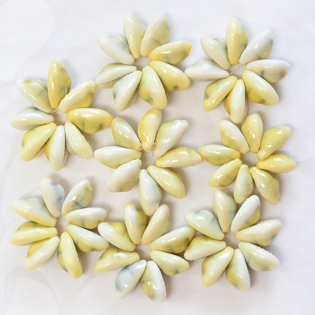 ハワイアン フラ用品 シェルパーツ【モネタシェルリングパーツ/50個入】