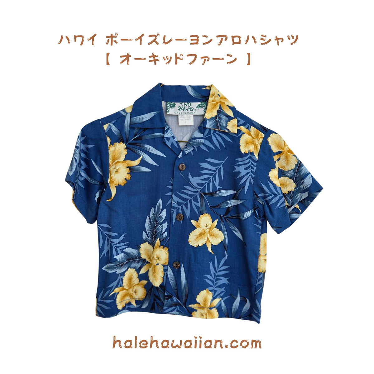 Clearance Hawaii Boys' Aloha Shirt - Orchid Fern - Blue