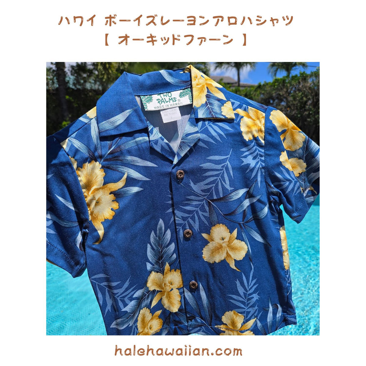 Clearance Hawaii Boys' Aloha Shirt - Orchid Fern - Blue