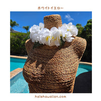 ハワイアン フラ用品 フラワーヘッドバンド【プルメリア/ジャスミンポエポエ】