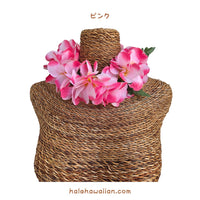 ハワイアン フラ用品 フラワーヘッドバンド【プルメリア/ジャスミンポエポエ】