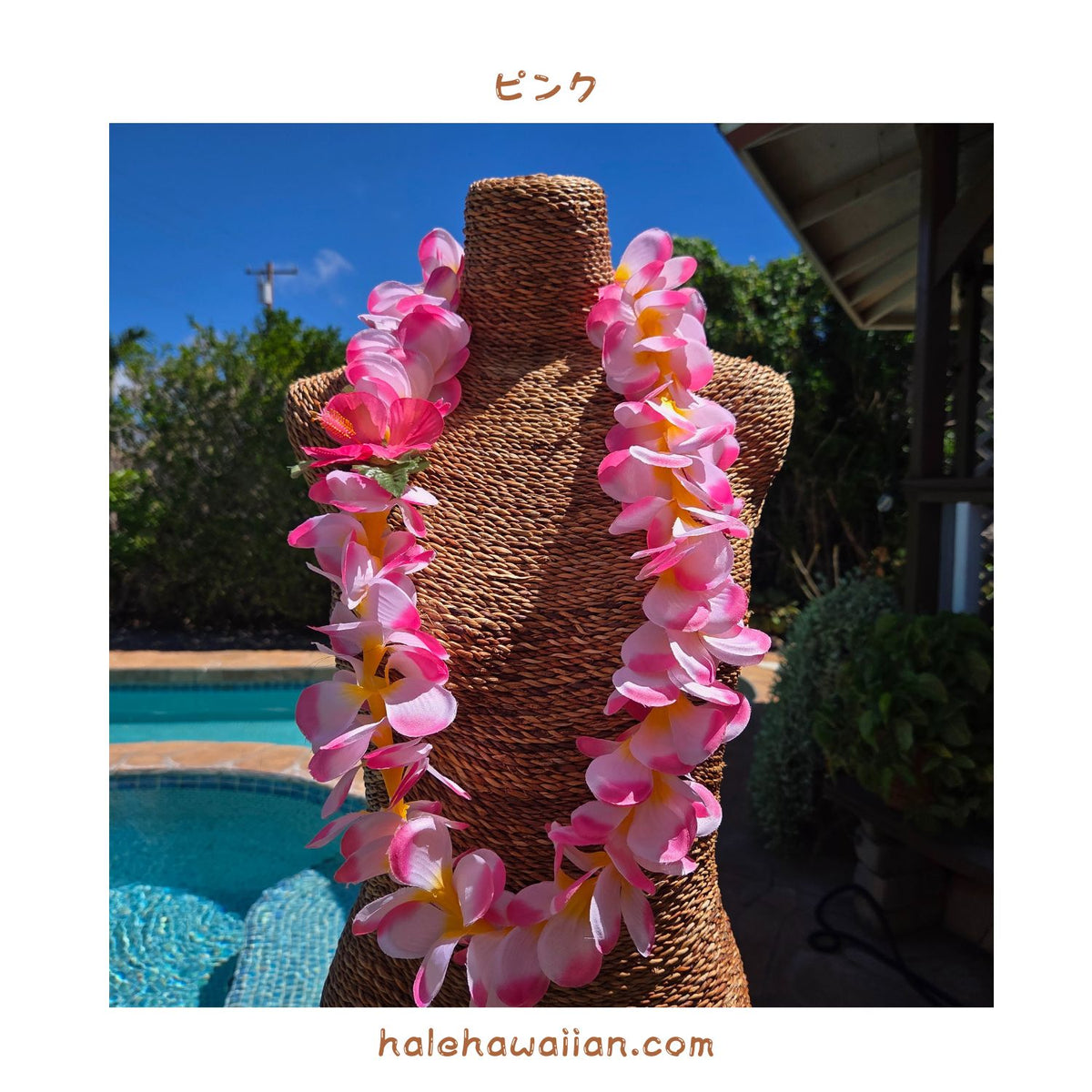 Hawaiian Hula Supplies Flower Lei [Plumeria/Jasmine Poepoe]