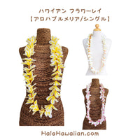 Hawaiian Hula Supplies Flower Lei (Long) [Aloha Plumeria/Single]