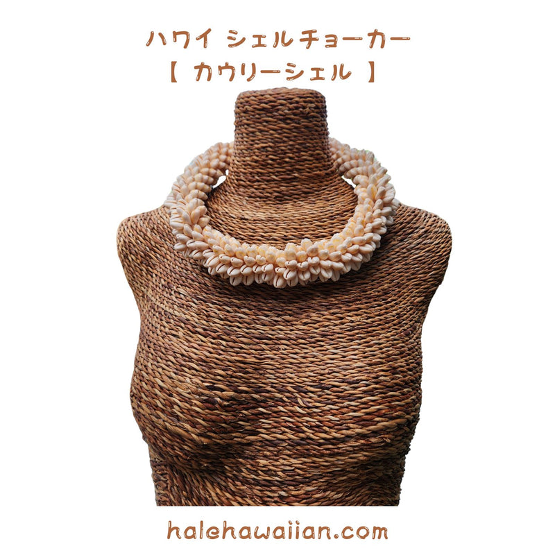 Hawaiian Hula Supplies Shell Ray [ Cowrie Shell /Ring Lei ]