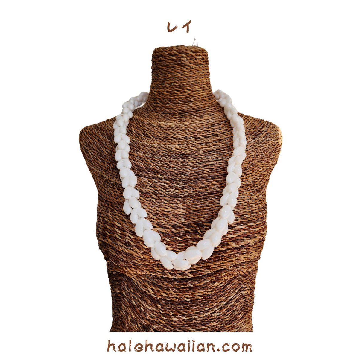 Hawaiian Hula Supplies Shell Choker [Bubble Shell]