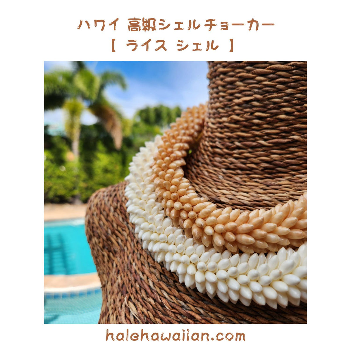 Hawaiian shell accessories, rare small rice shells [High-quality rice shell rings and chokers]