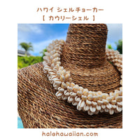 Hawaiian Hula Supplies Shell Ray [ Cowrie Shell /Ring Lei ]