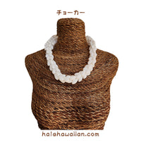 Hawaiian Hula Supplies Shell Choker [Bubble Shell]