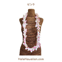 Hawaiian Hula Supplies Flower Lei (Long) [Aloha Plumeria/Single]