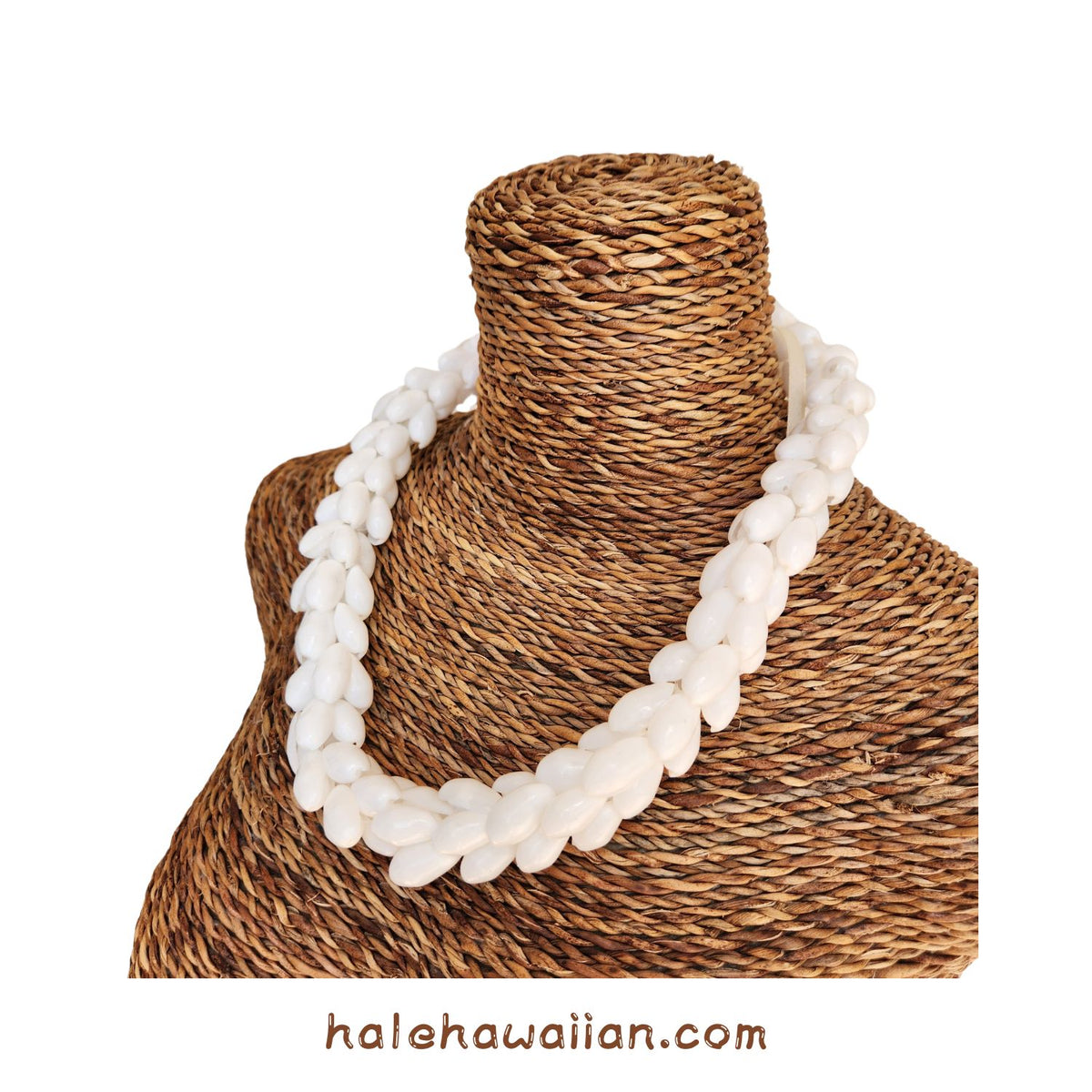 Hawaiian Hula Supplies Shell Choker [Bubble Shell]