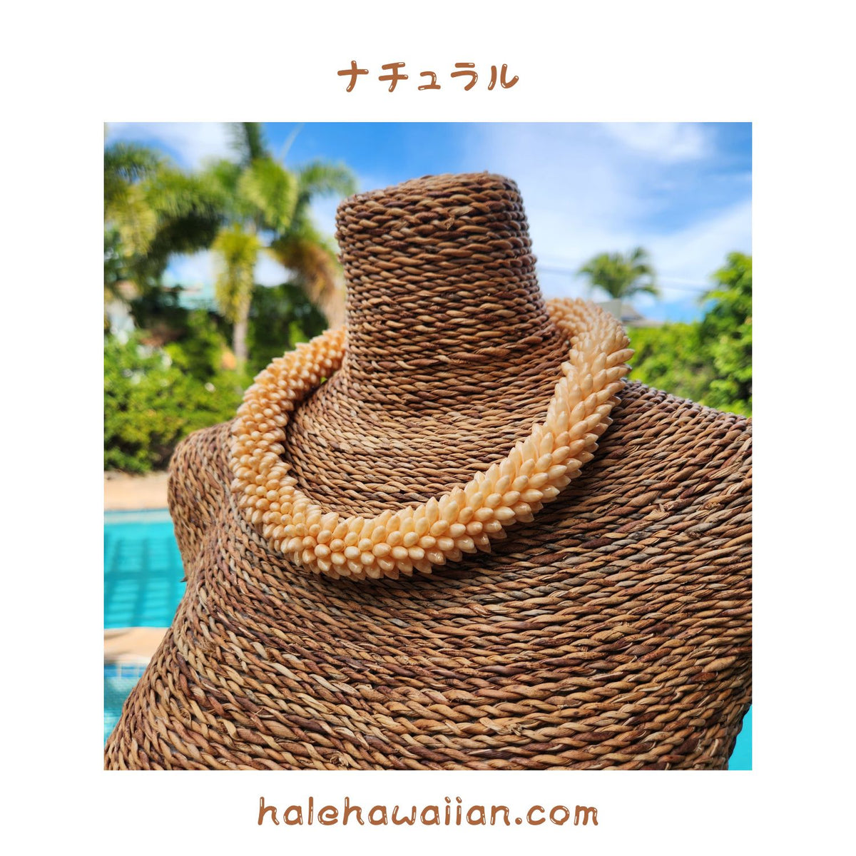 Hawaiian shell accessories, rare small rice shells [High-quality rice shell rings and chokers]