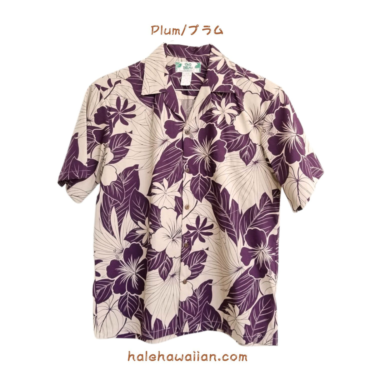 Hawaiian Men's Aloha Shirt Cotton [Lanai]