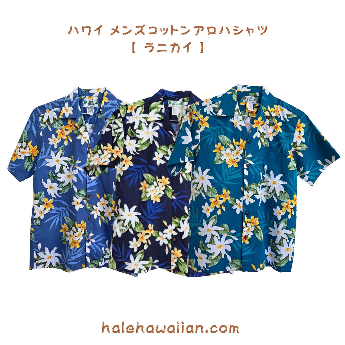 ハワイ メンズ コットン アロハシャツ【 ラニカイ 】