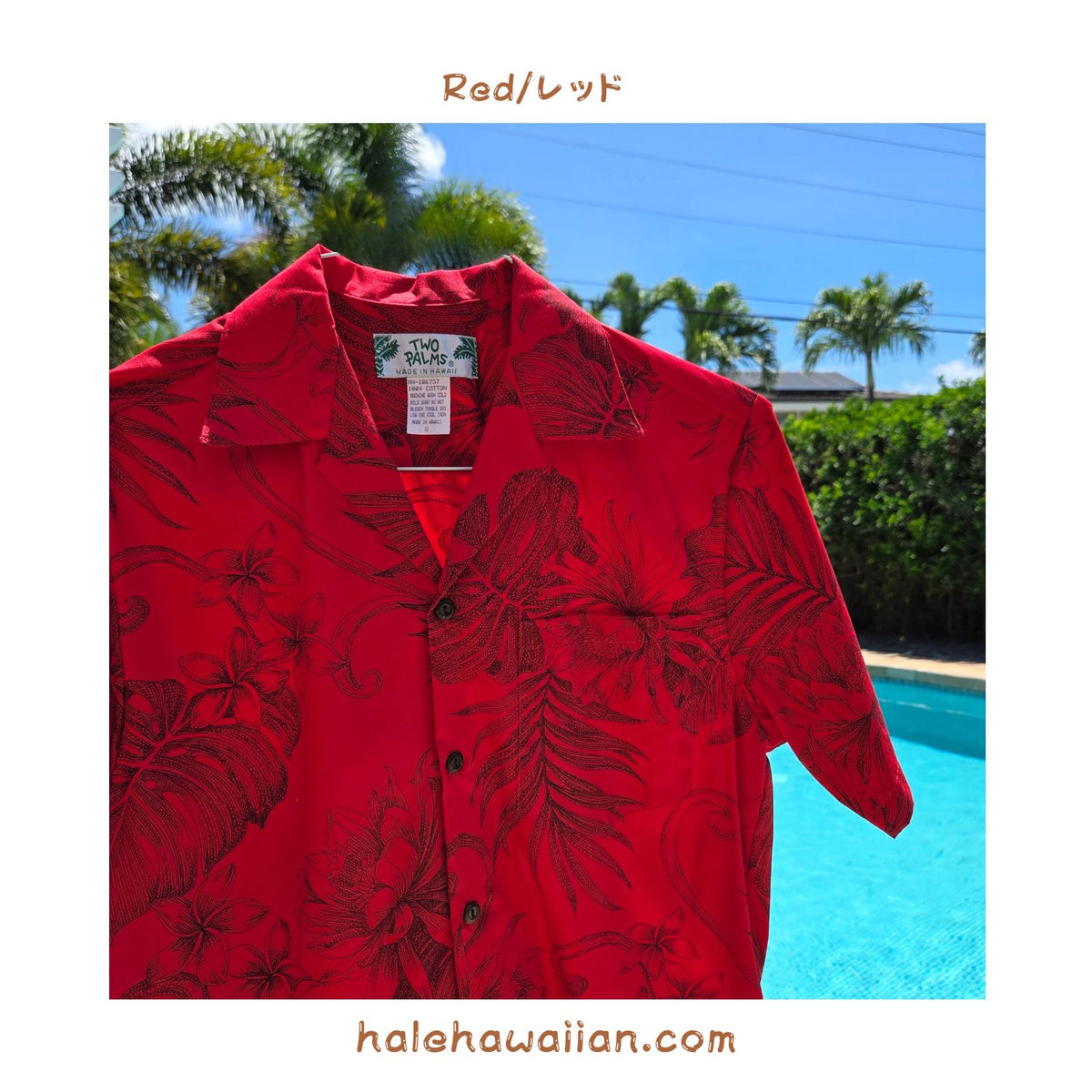 Hawaiian Men's Aloha Shirt Cotton [Monstera Ceres]