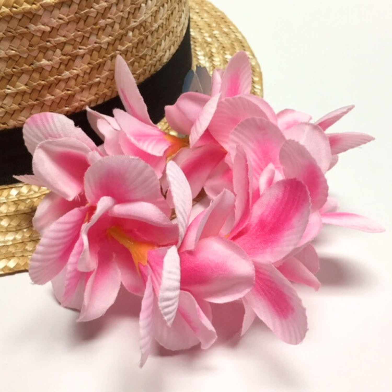 蘭様　　琉球*海花のたね④ 蘭様 琉球*海花のたね④ 蘭様 琉球*海花の