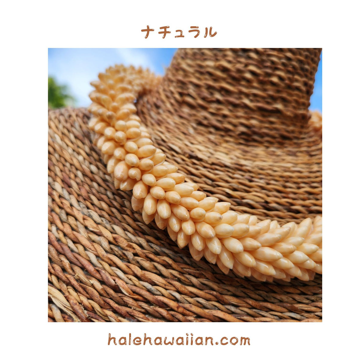 Hawaiian shell accessories, rare small rice shells [High-quality rice shell rings and chokers]