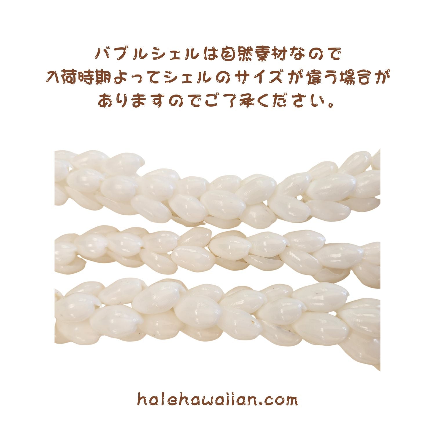 ハワイアン フラ用品 シェル ネックレス【バブルシェル】 – Halehawaiian