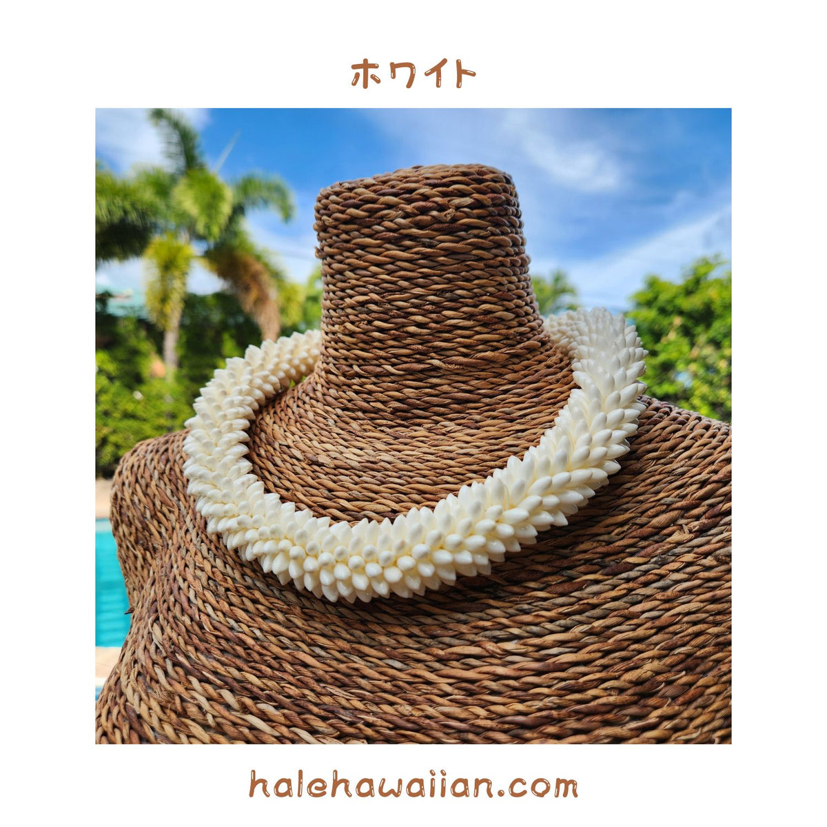 Hawaiian shell accessories, rare small rice shells [High-quality rice shell rings and chokers]