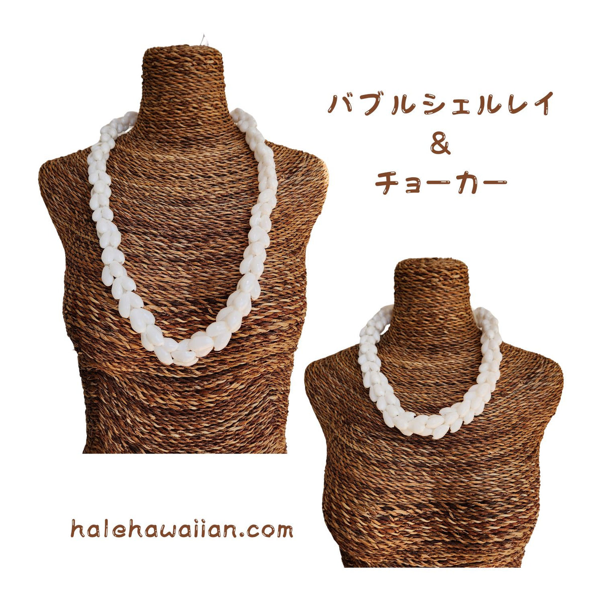 Hawaiian Hula Supplies Shell Choker [Bubble Shell]