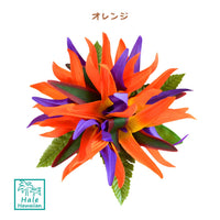 Hawaiian Hula Supplies Flower Hair Clip [Bird of Paradise]
