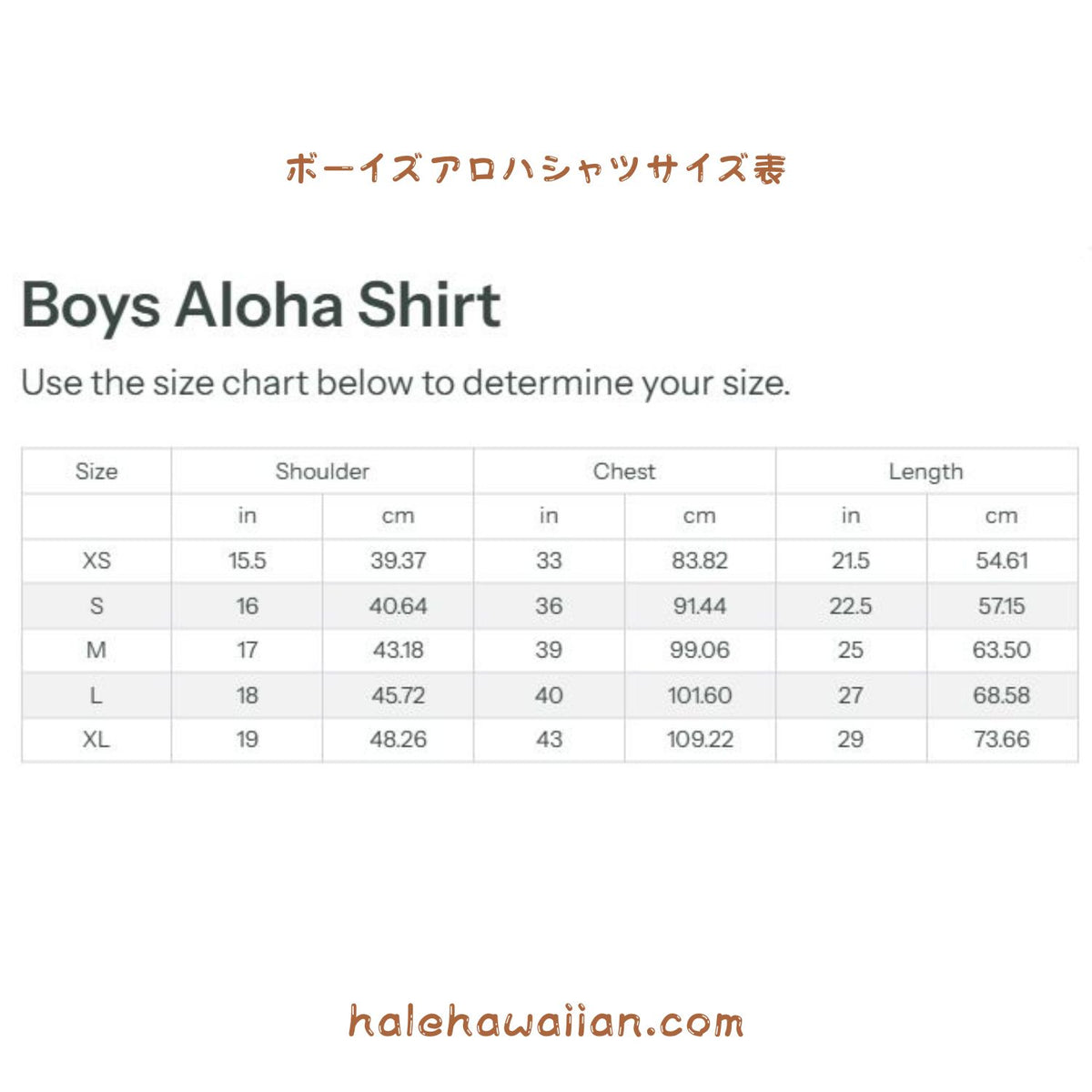 Hawaii Kids Rayon Boys Aloha Shirt [Bould Serenity]