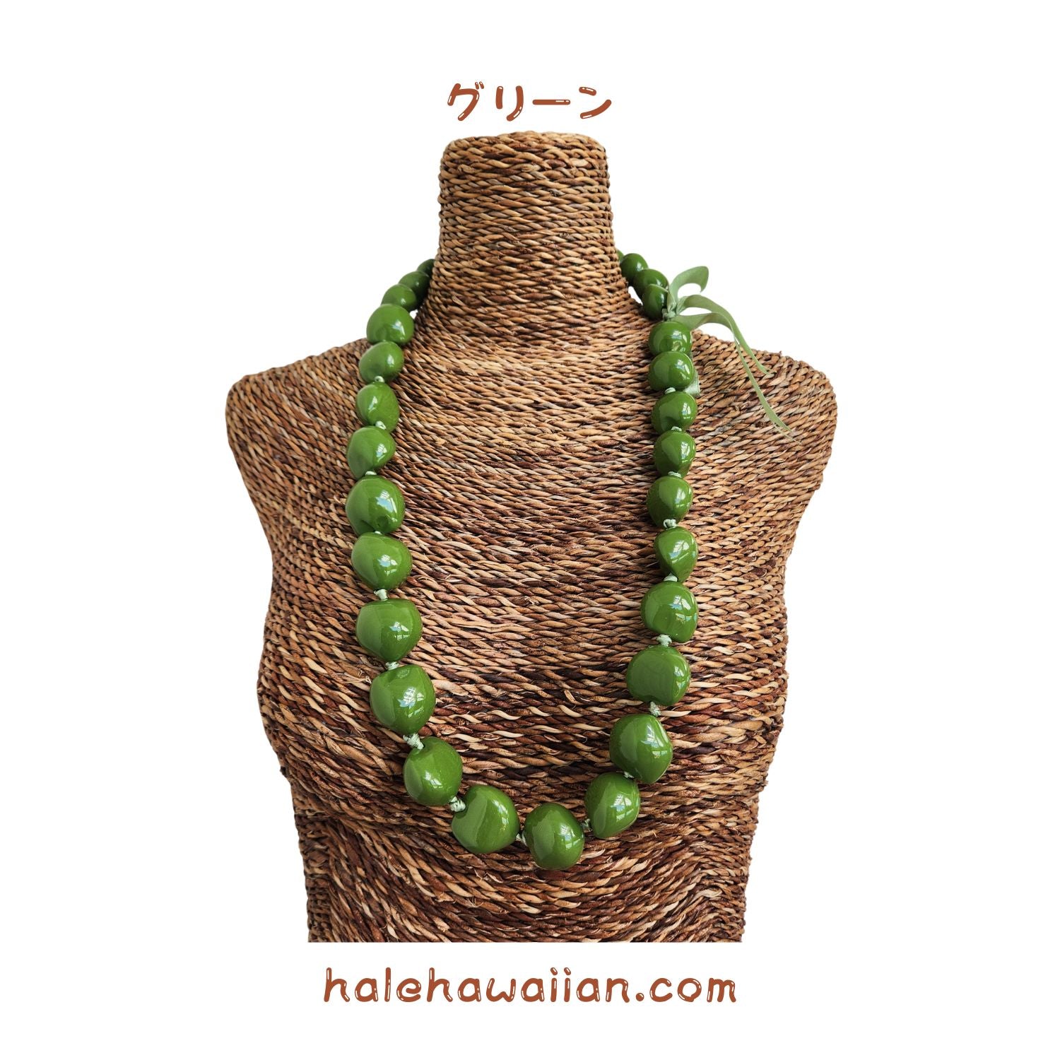 ククイセット ハワイアン フラ用品 ククイレイ【カラーペイントククイ