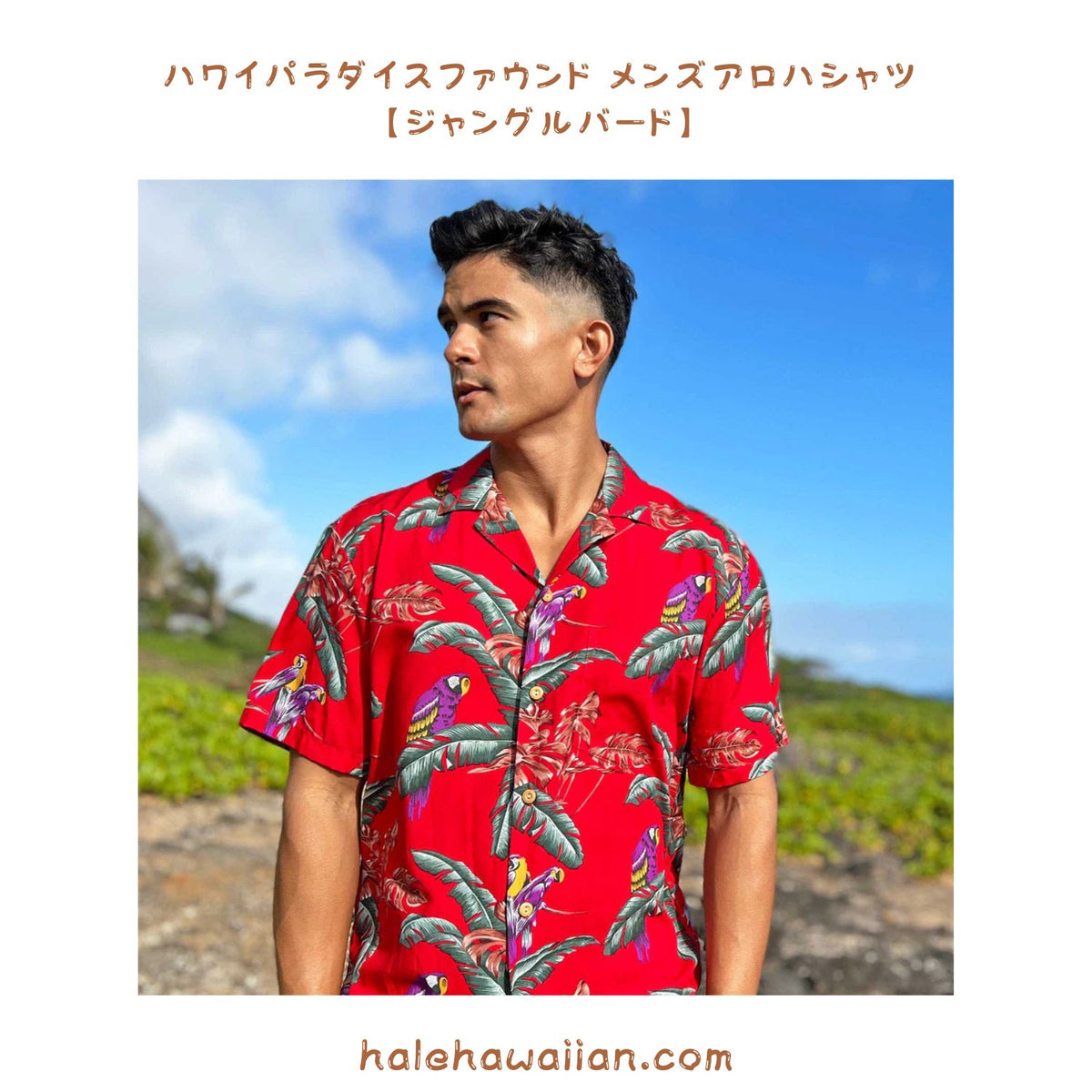 Hawaiian Men's Aloha Shirt Rayon [Jungle Bird]
