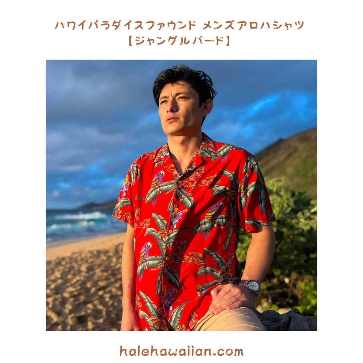 Hawaiian Men's Aloha Shirt Rayon [Jungle Bird]
