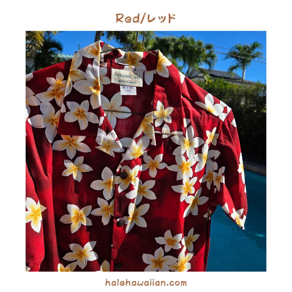 Hawaii Junior Cotton Aloha Shirt [Plumeria]