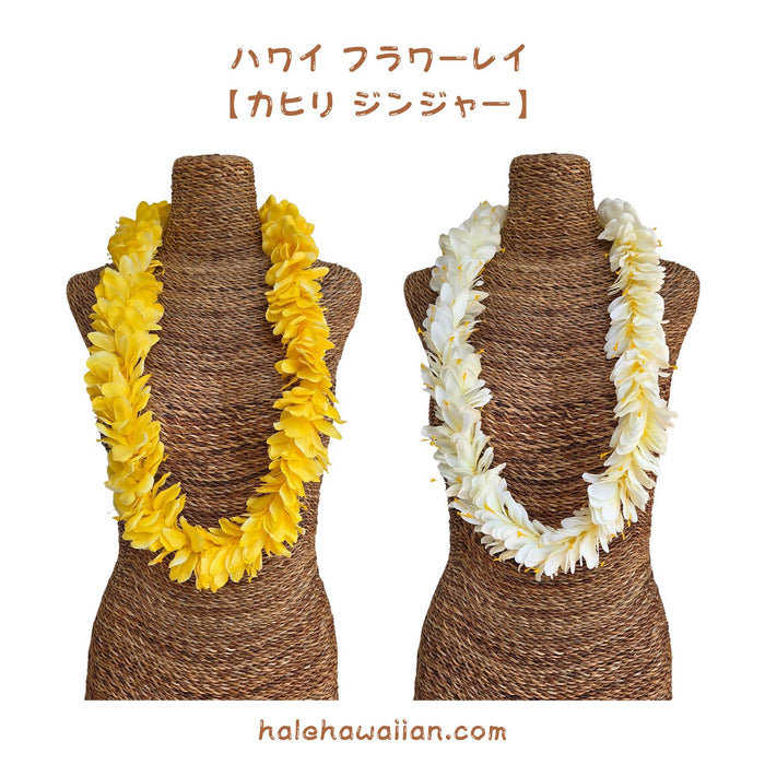 Hawaiian Hula Supplies Flower Lei [Kahili Ginger]