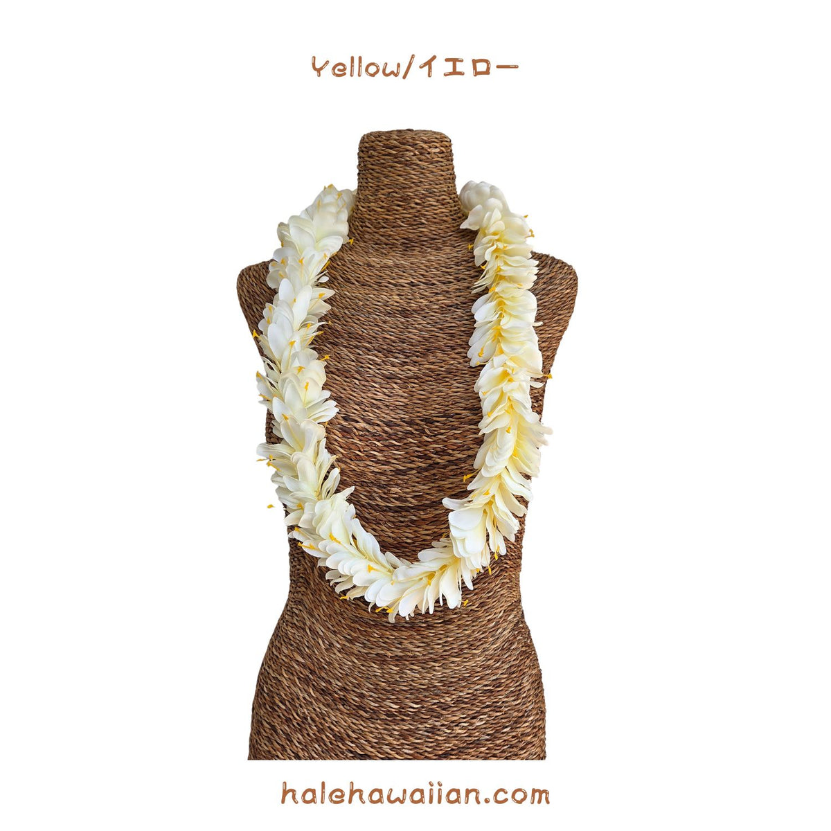Hawaiian Hula Supplies Flower Lei [Kahili Ginger]