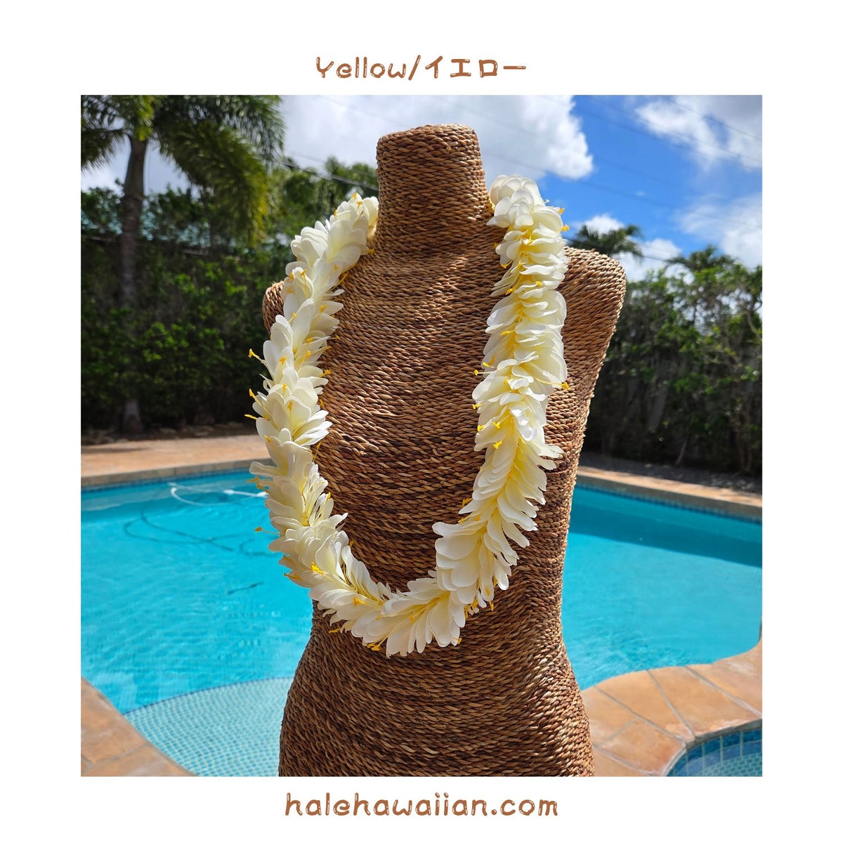 Hawaiian Hula Supplies Flower Lei [Kahili Ginger]