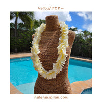 Hawaiian Hula Supplies Flower Lei [Kahili Ginger]