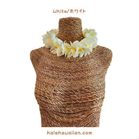 Hawaiian Hula Supplies Flower Headband [Kahiri Ginger]