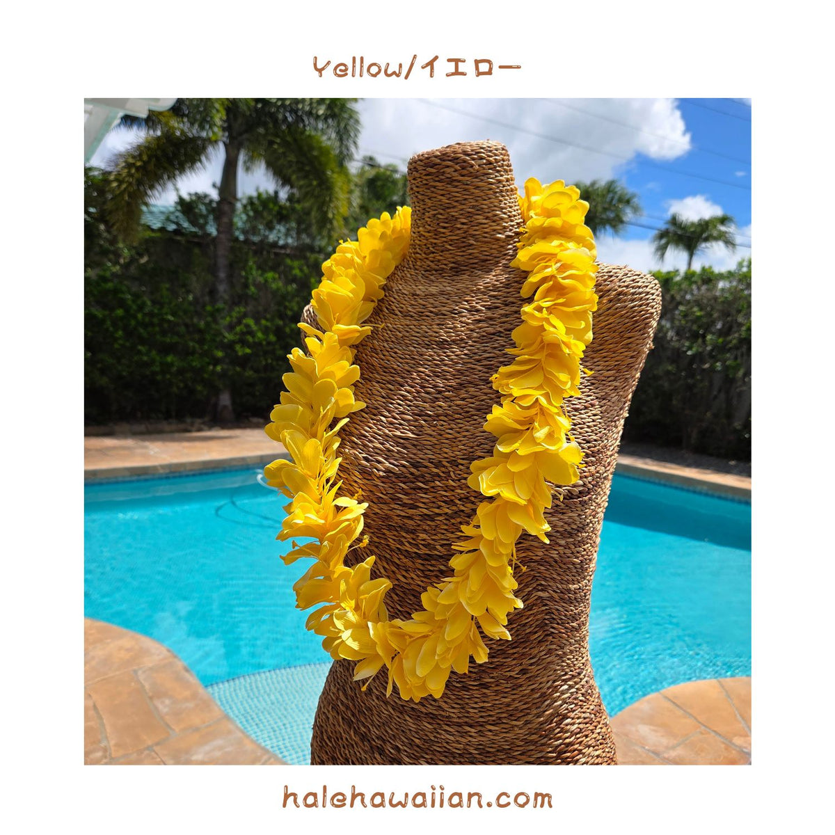 Hawaiian Hula Supplies Flower Lei [Kahili Ginger]