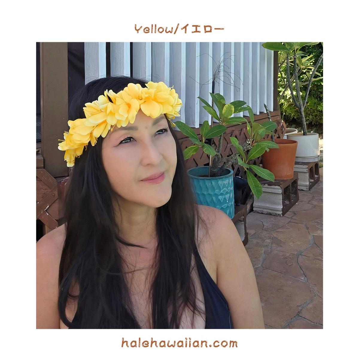 Hawaiian Hula Supplies Flower Headband [Kahiri Ginger]