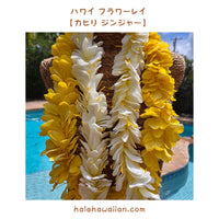 Hawaiian Hula Supplies Flower Lei [Kahili Ginger]