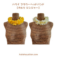Hawaiian Hula Supplies Flower Headband [Kahiri Ginger]