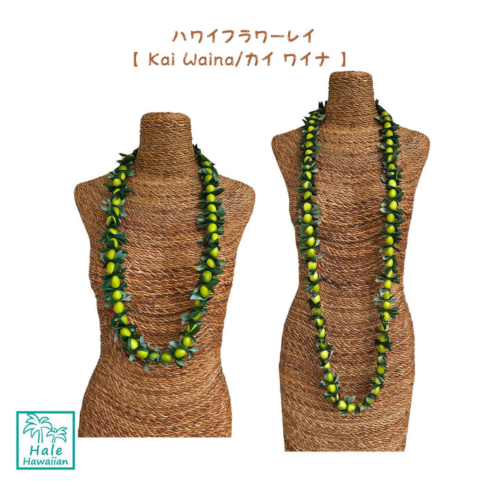 Hawaiian Hula Supplies Flower Lei (Long) [Kaiwaina]