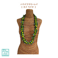 Hawaiian Hula Supplies Flower Lei (Long) [Kaiwaina]