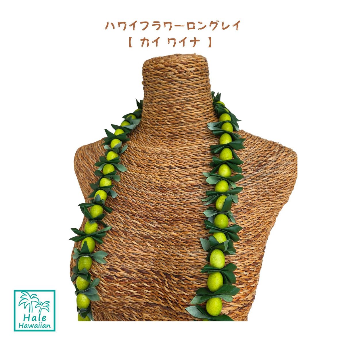 Hawaiian Hula Supplies Flower Lei (Long) [Kaiwaina]