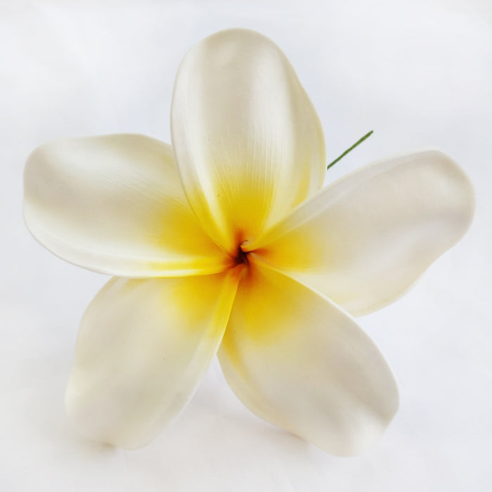 Hawaiian Hula Supplies Flower Hair Pick [Plumeria] 5inch