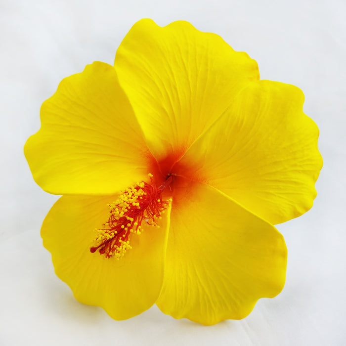 Hawaiian Hula Supplies Flower Hair Pick [Hibiscus]